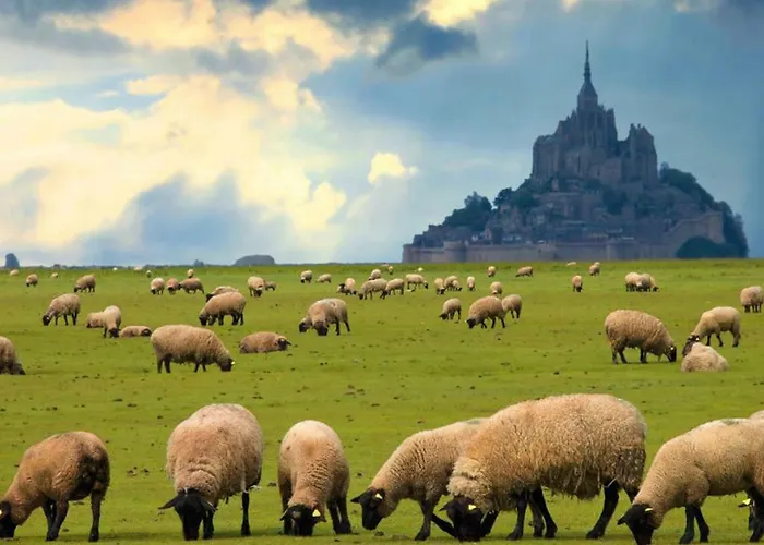 Studio~ Les Pieds Dans L'eau 2~ ドンヴィル・レ・バン