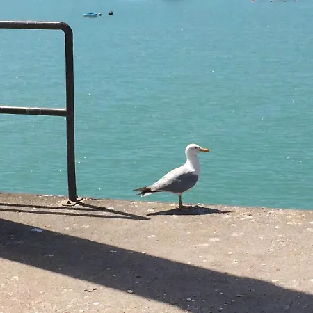 Studio~ Les Pieds Dans L'eau 2~ * Donville-les-Bains