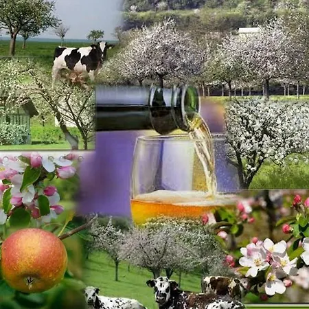 Studio~ Les Pieds Dans L'eau 2~ *