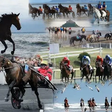 Studio~ Les Pieds Dans L'eau 2~ Daire *