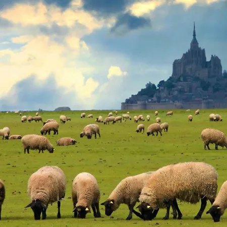 Studio~ Les Pieds Dans L'eau 2~ Donville-les-Bains