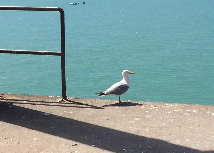 Studio~ Les Pieds Dans L'eau 2~ * Donville-les-Bains