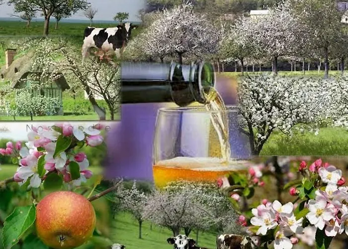 Studio~ Les Pieds Dans L'eau 2~ *