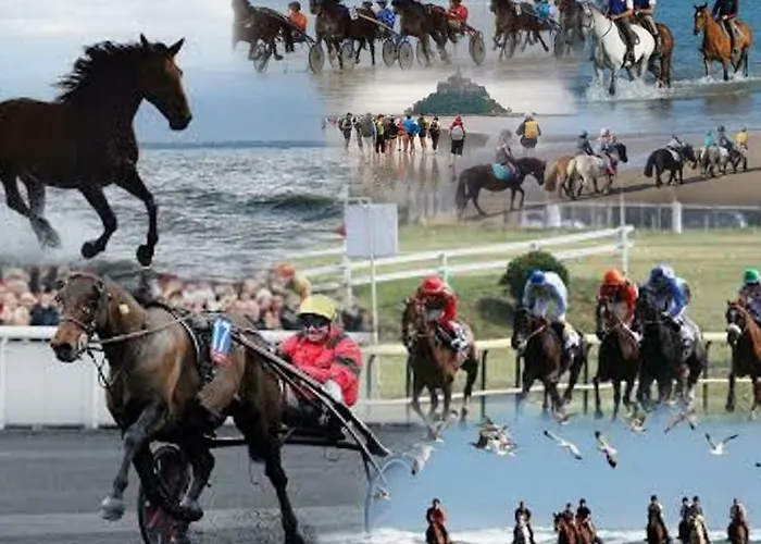 Studio~ Les Pieds Dans L'eau 2~ Apartamento *